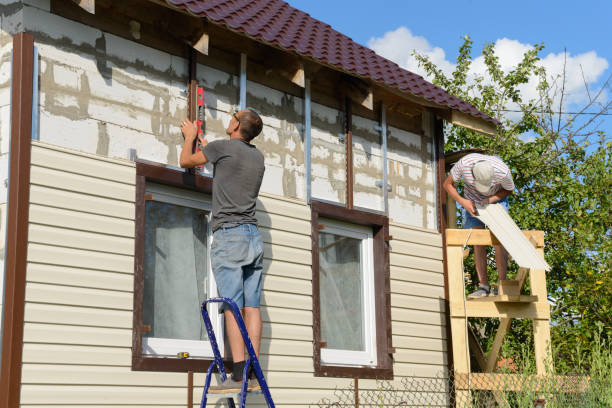 Best Stone Veneer Siding  in Lake St Louis, MO