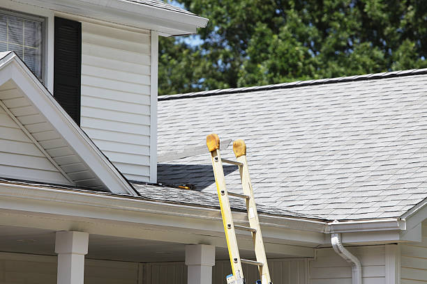 Best Historical Building Siding Restoration  in Lake St Louis, MO